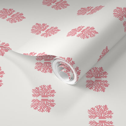 Coralline Traditional