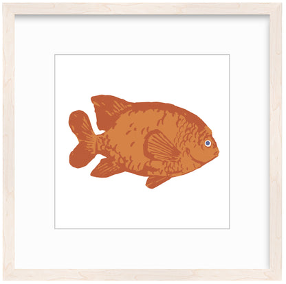 Garibaldi Framed Art Print